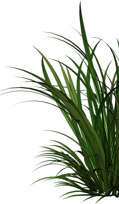 ağaçlar arasında paintball