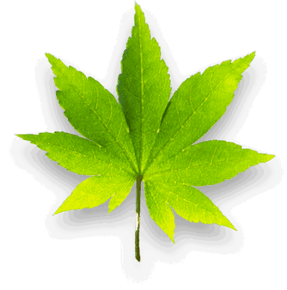 paintball doğa ile iç içe